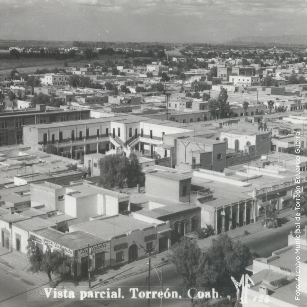 articulo